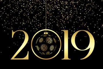 Srećna 2019. godina!